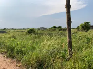 40 Acres of Land for Sale at School Junction