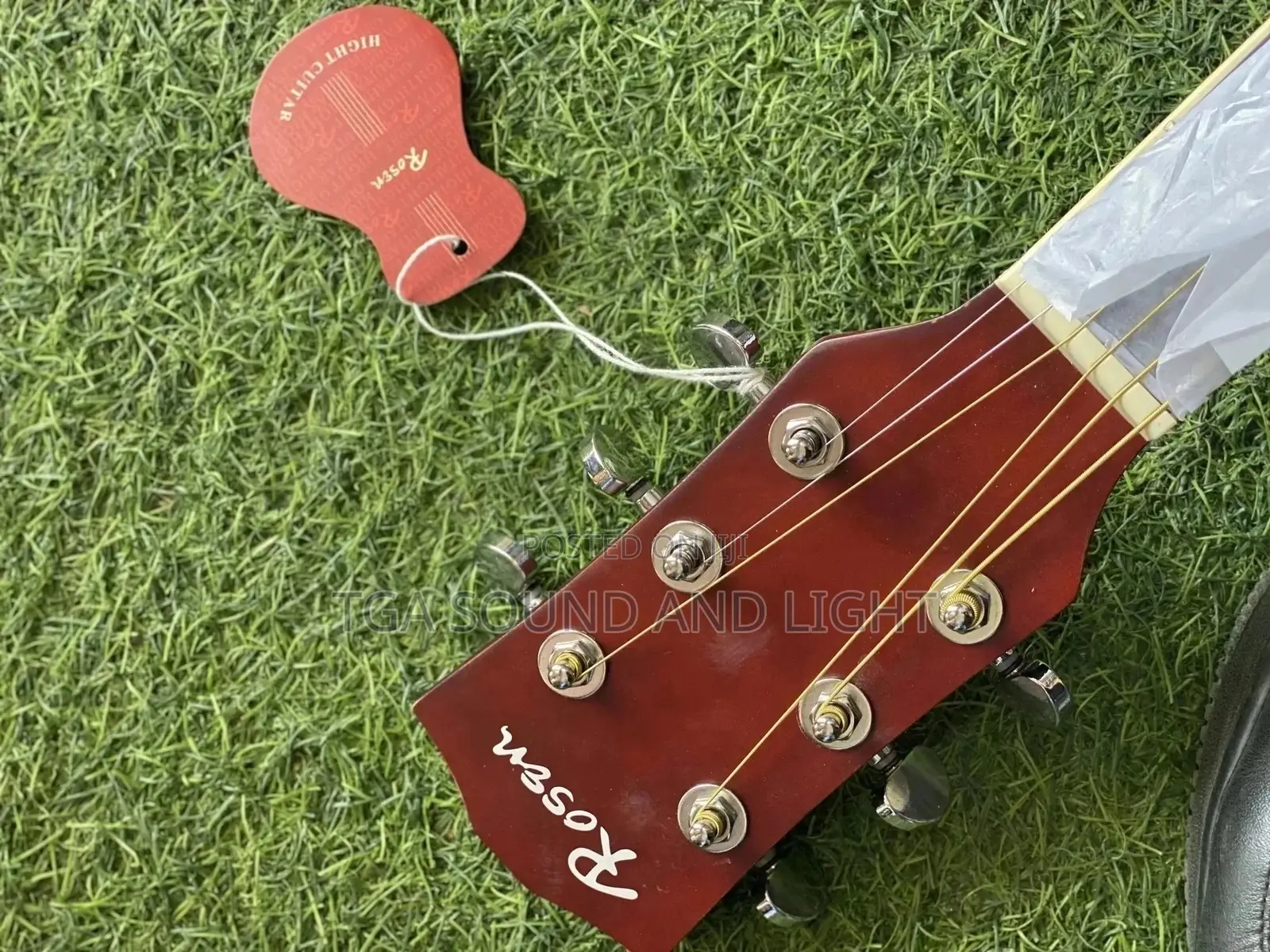Rosen Semi-Acoustic Guitar With Bag, Strap, Capo and String