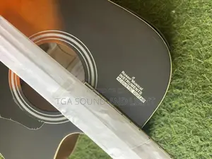 Rosen Semi-Acoustic Guitar With Bag, Strap, Capo and String