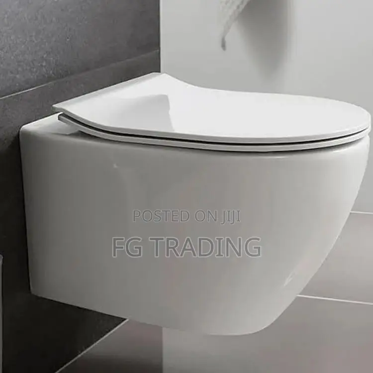 Concealed Wall Mounted Water Closet - Hanging WC