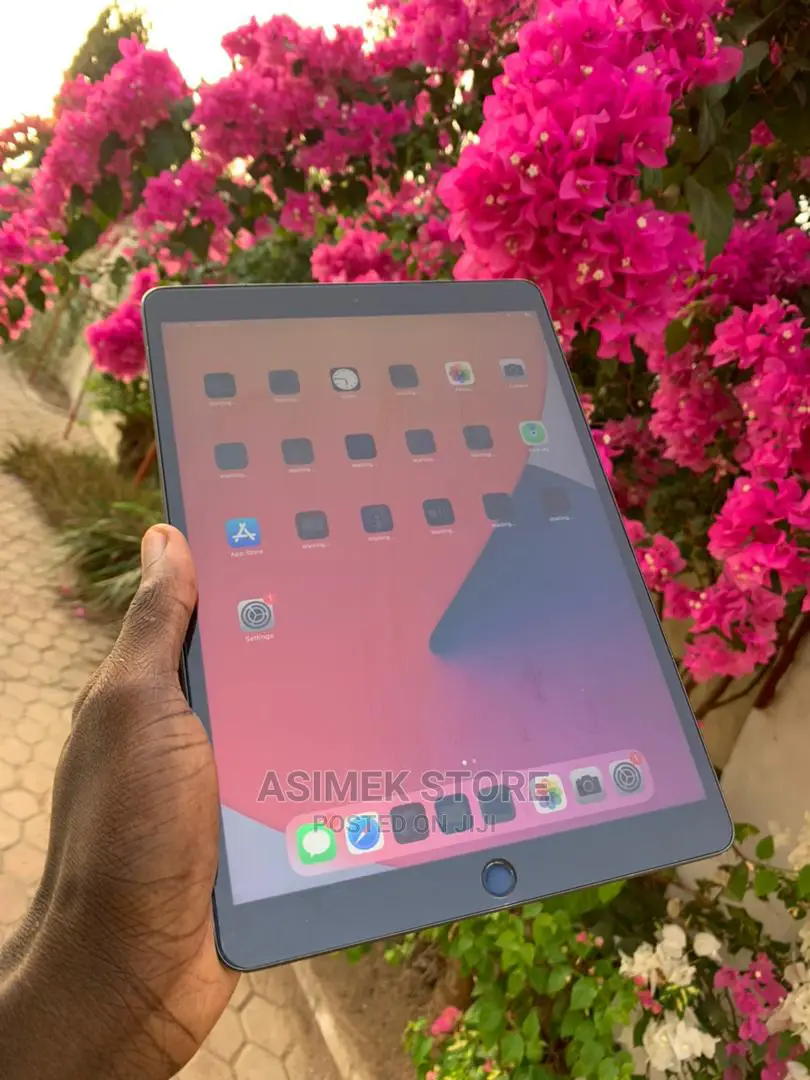 Apple iPad Air 64 GB Gray
