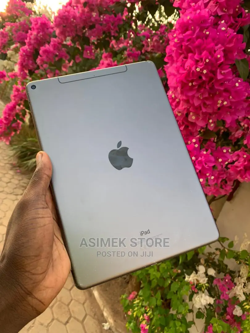 Apple iPad Air 64 GB Gray
