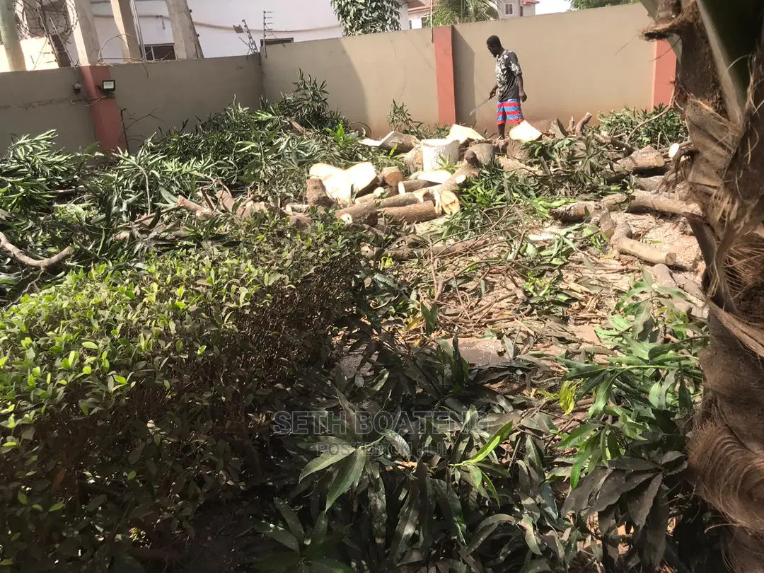 Chain Saw Operator - Accra