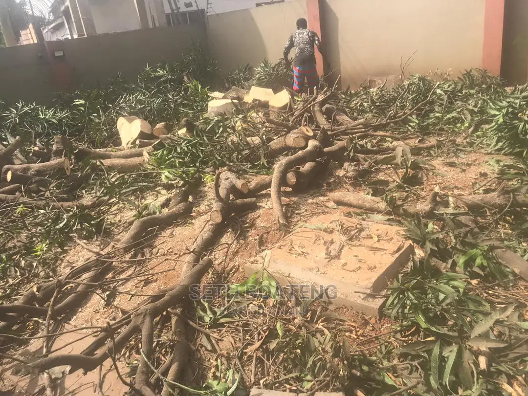 Chain Saw Operator - Accra