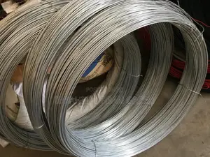 Galvanized Strinner