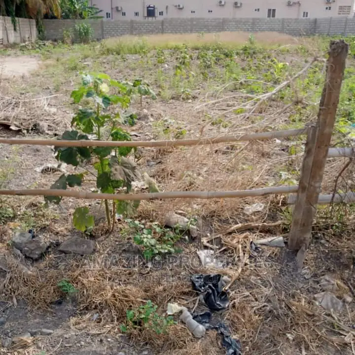 Land for Sale East Airport Palace Mall Area. 2 Plots 100x143