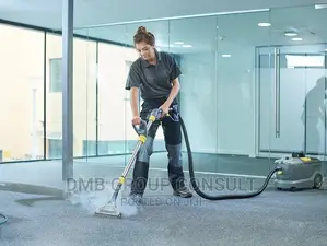 Professional Cleaners 4U