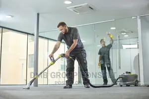 Professional Cleaners 4U