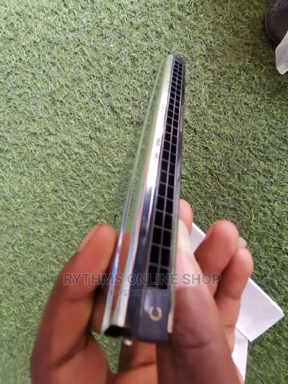 Mouth Organ Silver (Bee 48holes)