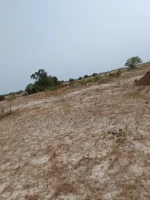 Donkomi (Promo) Tsopoli Lands for Sale.