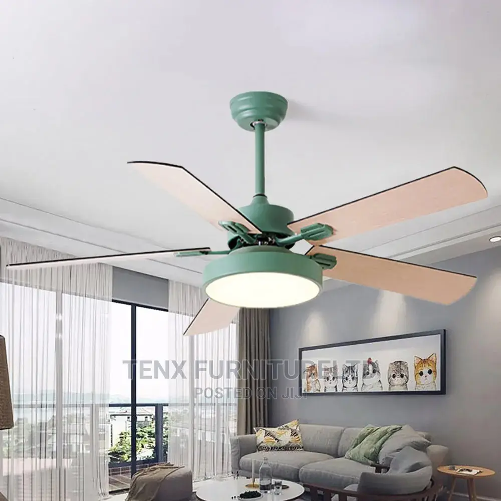 Ceiling Fan Ultra-Thin Modern Simplicity Frequency Remote