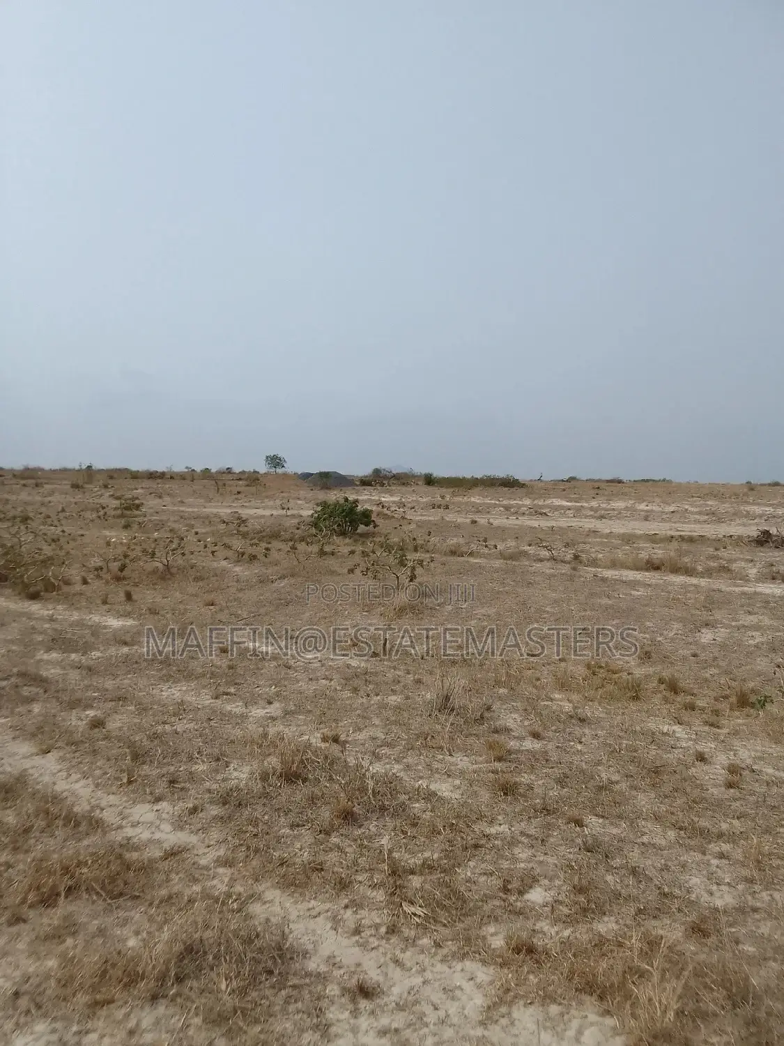 Promo Sales on Registered Land