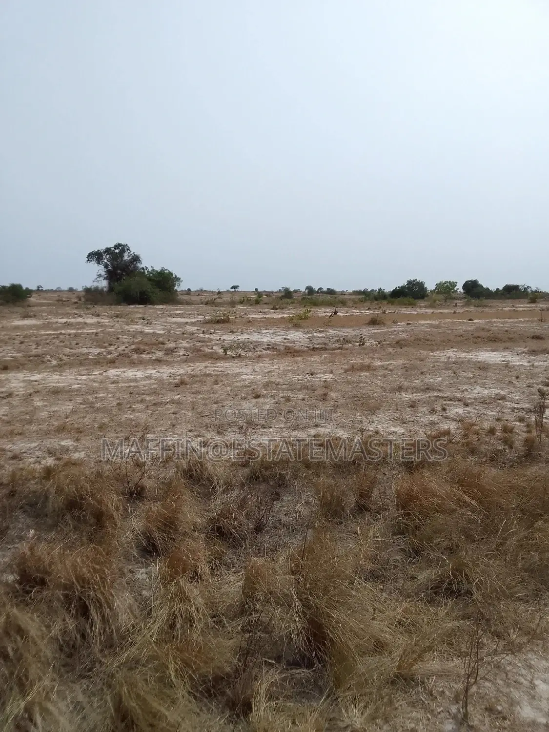 Promo, Serviced Plot of Land for Sale at Tsopoli