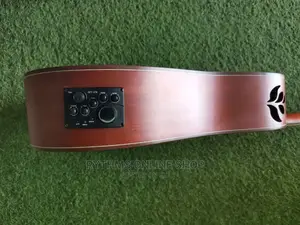 12strings Semi-Acoustic Guitar