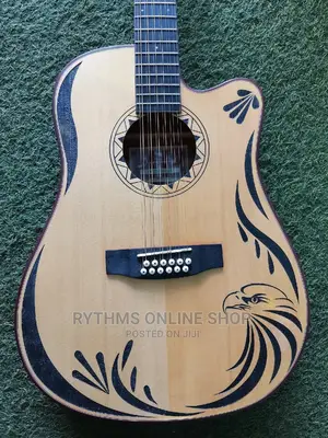 12strings Semi-Acoustic Guitar