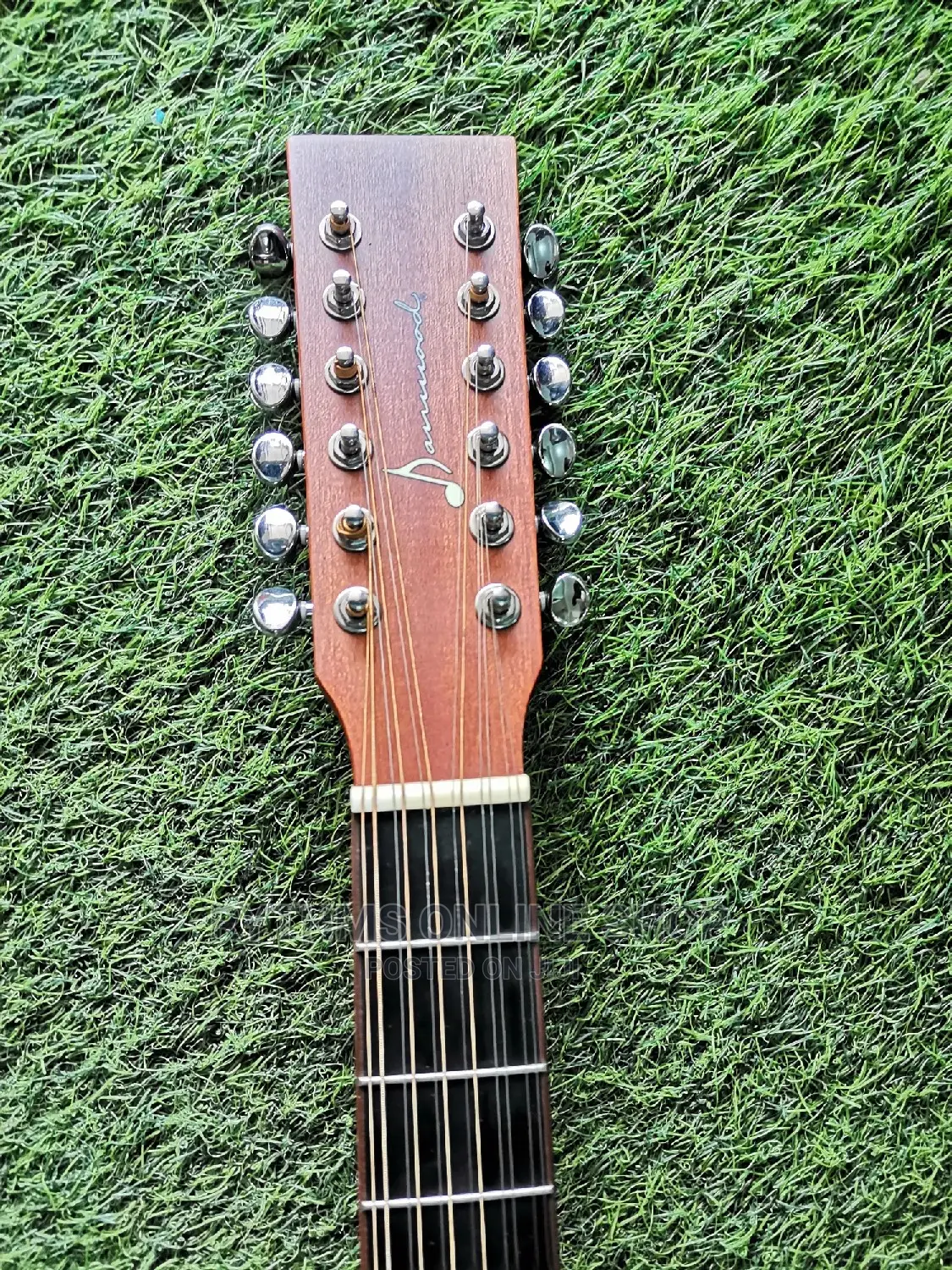 12strings Semi-Acoustic Guitar