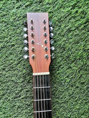 12strings Semi-Acoustic Guitar