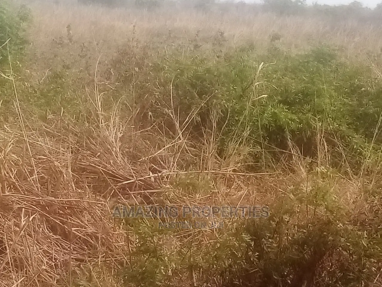 1.3acres of Bare Land, for Sale at Nungua, Coco Beach.