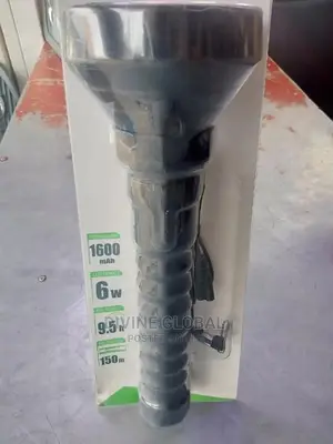 Security Rechargeable Torch Light