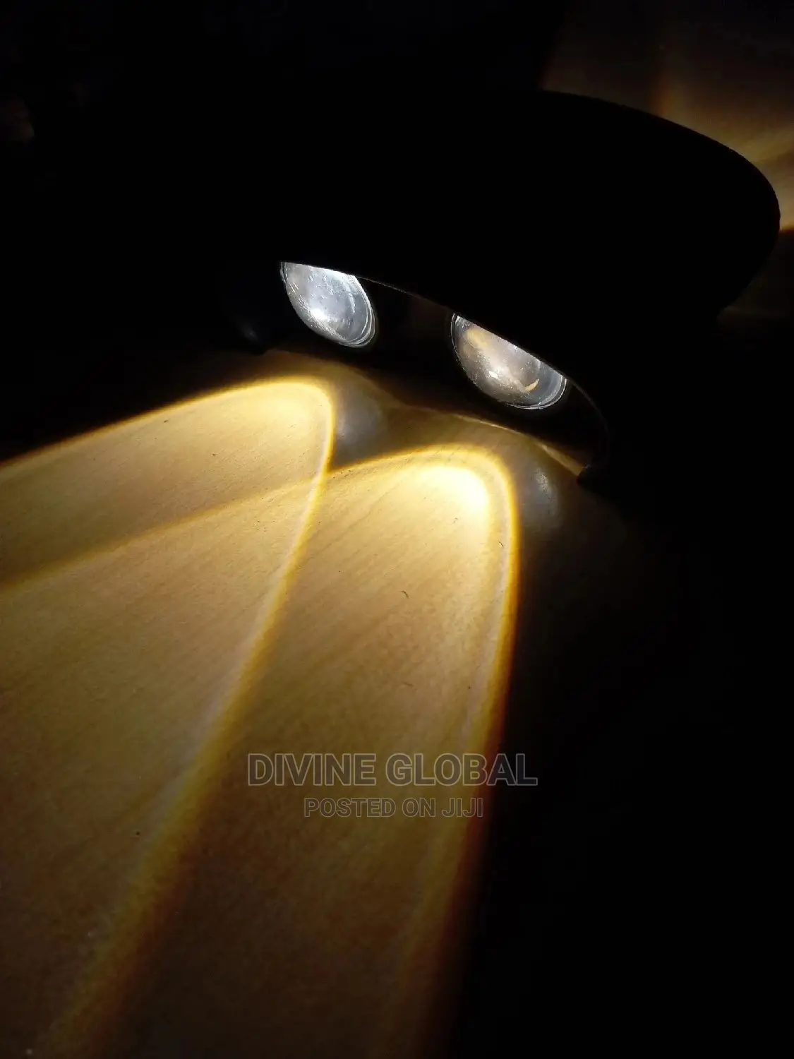 2 Way LED Wall Light Outdoor Indoor Use