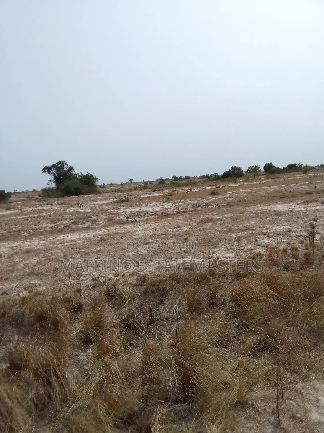 Genuine, Promo Land for Sale.