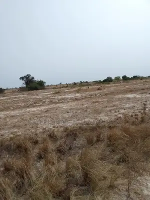 Genuine, Promo Land for Sale.
