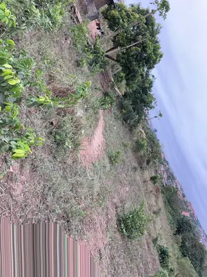 Land for Sale at Berekusu