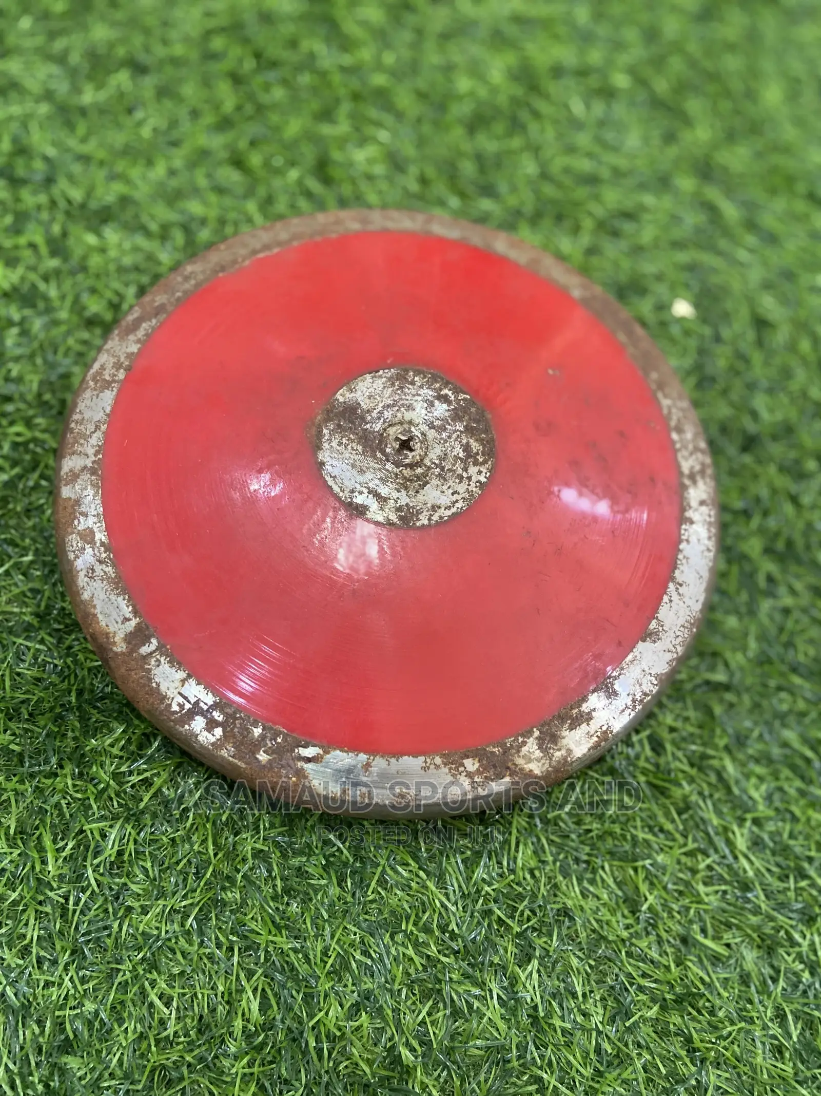 Original Discus At Cool Price
