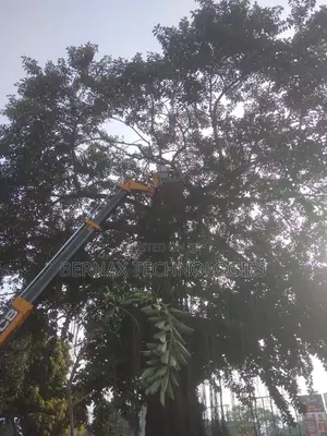 Tree Cutting ( Chainsaw Operator)