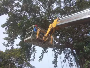 Tree Cutting ( Chainsaw Operator)