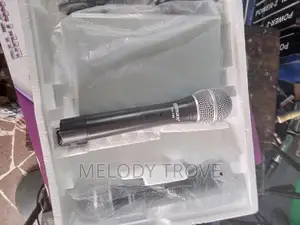 Max DH-744 Professional Microphone