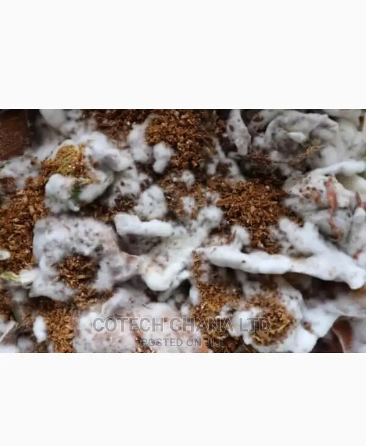 Bio Enzymes (Decomposer) for Biofil/Digester/Kill Bad Odour