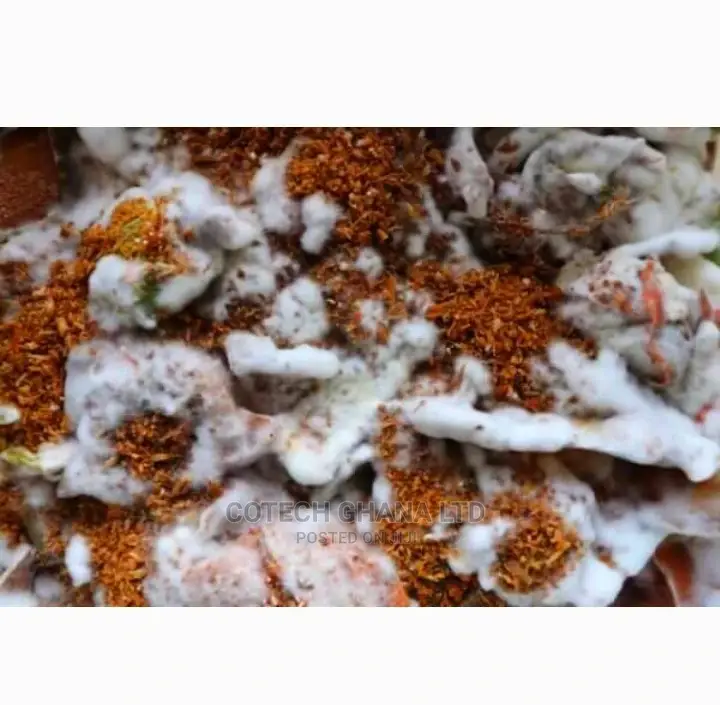 Biofil Toilet Chemical Digester(Waste Decomposer)