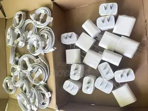 Apple Type C Fast Charger