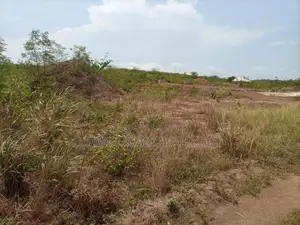 Volta Region - Hohoe, (Kordzeto) _ 20 Plots of Building Land