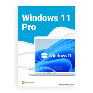Windows 11 Pro License (Online Key)