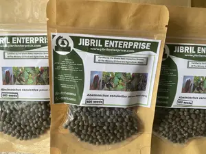African Dwarf Okro (Abelmoscus Esculentus)