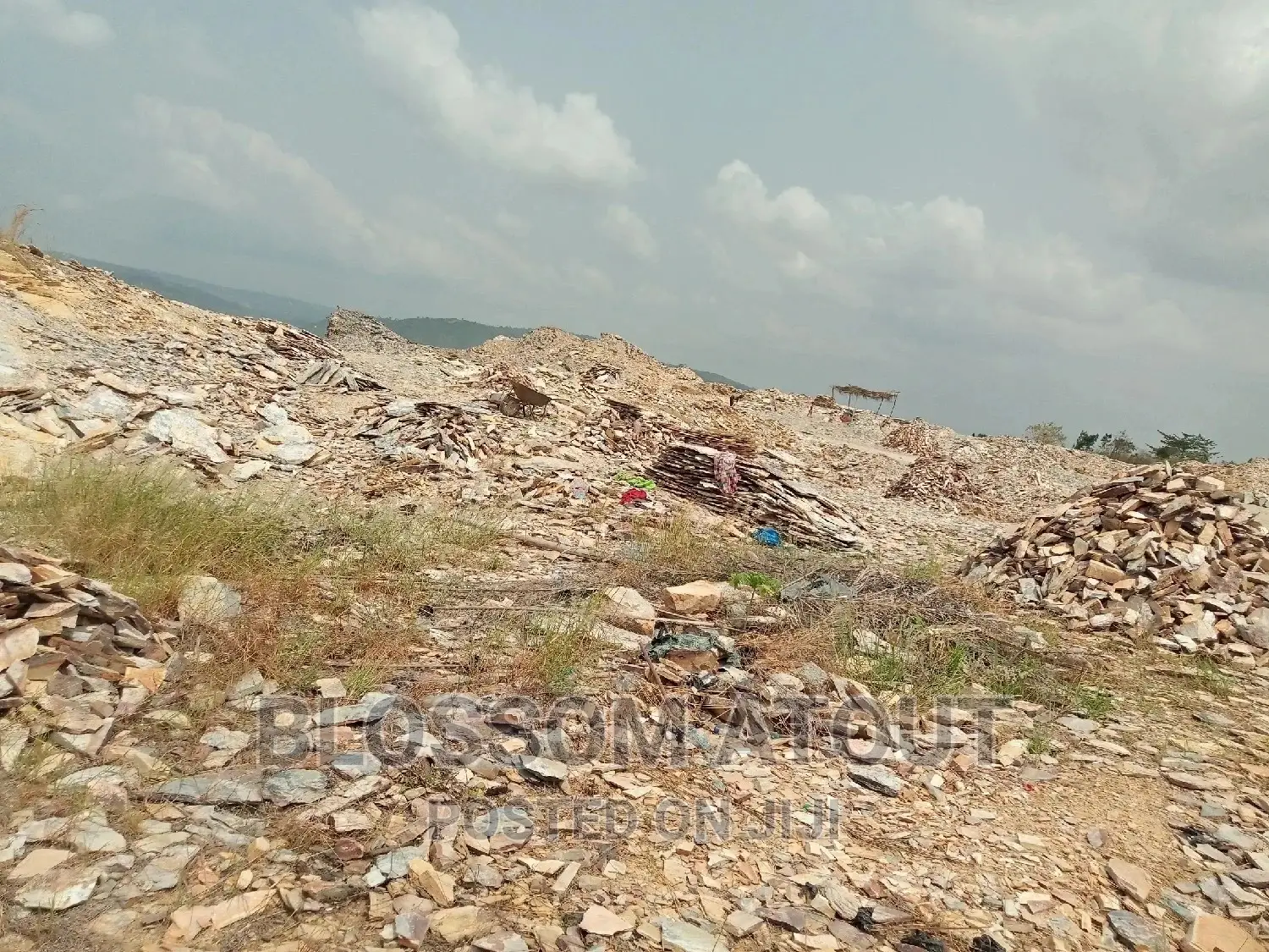 Land Surveyor