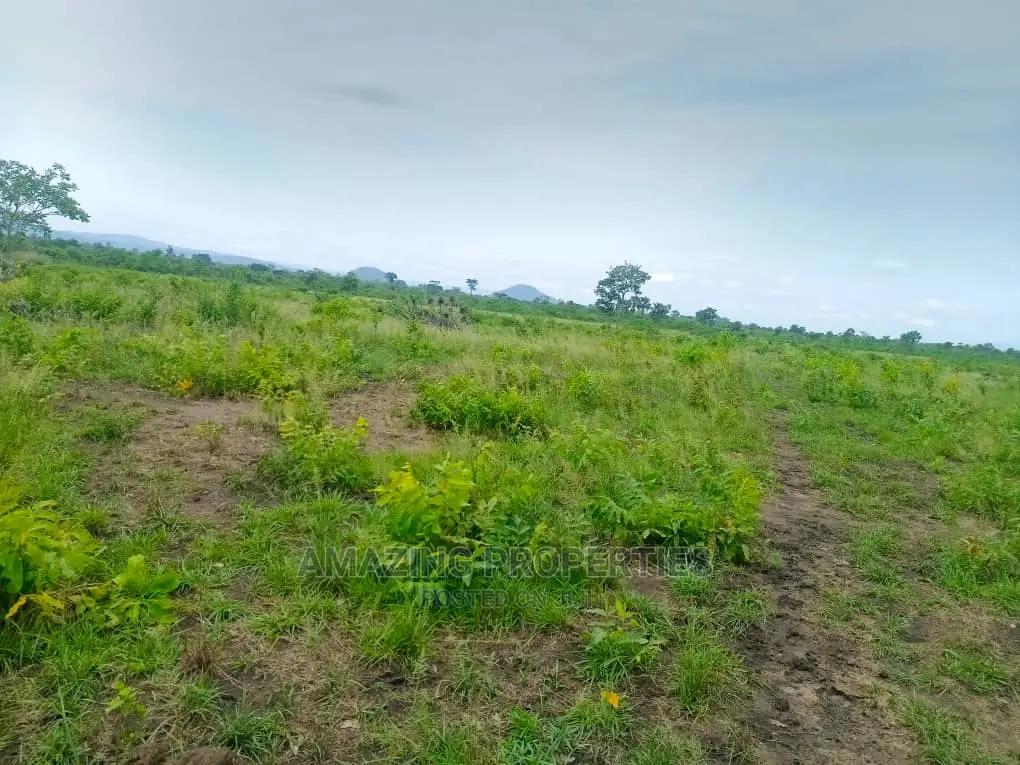 2200acres of Farm Land for Sale at Nsawam Teacher Mante