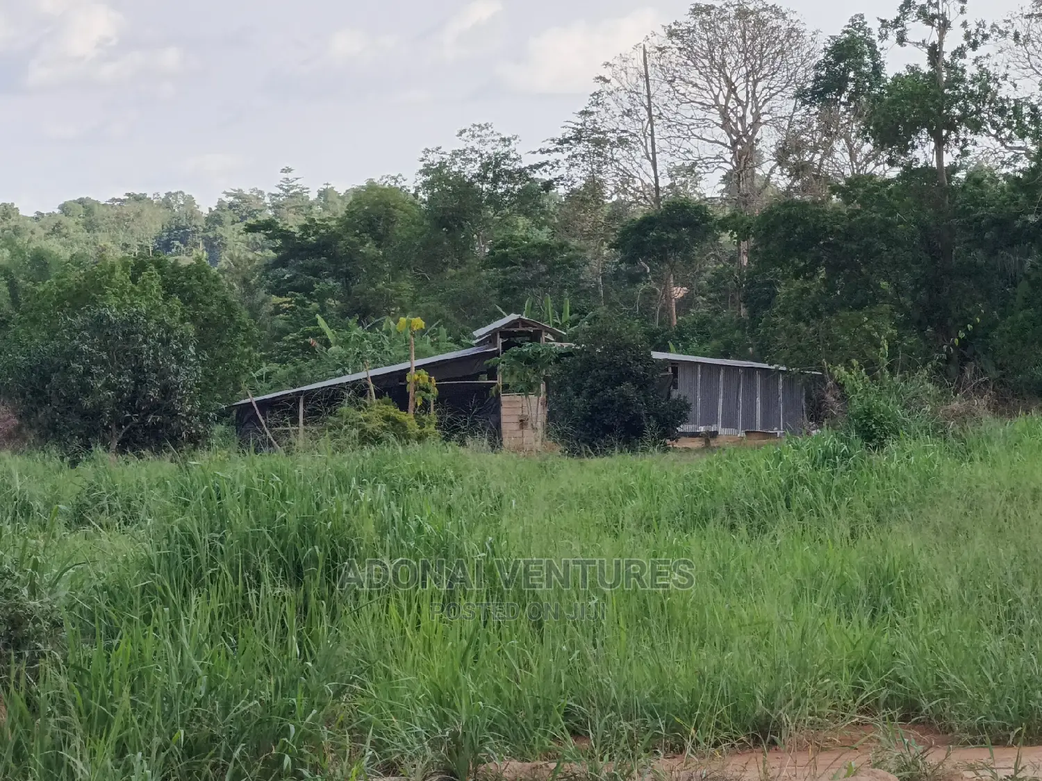 1 Plot of Land for Sale at Bedaase