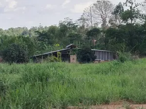 1 Plot of Land for Sale at Bedaase