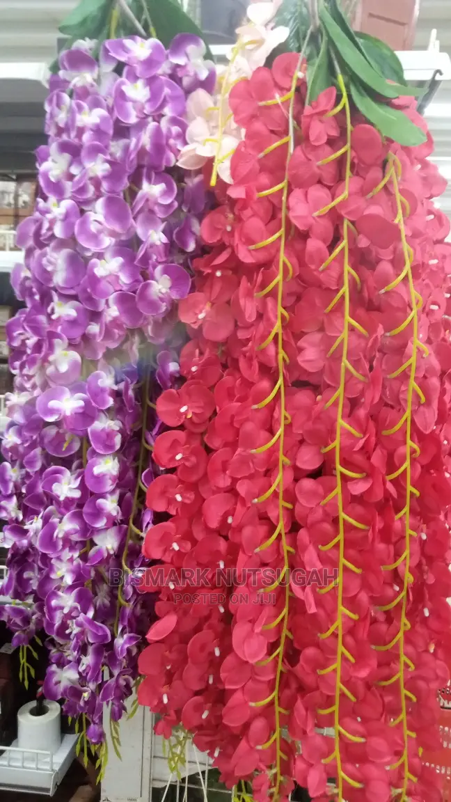 Flowers for Sale