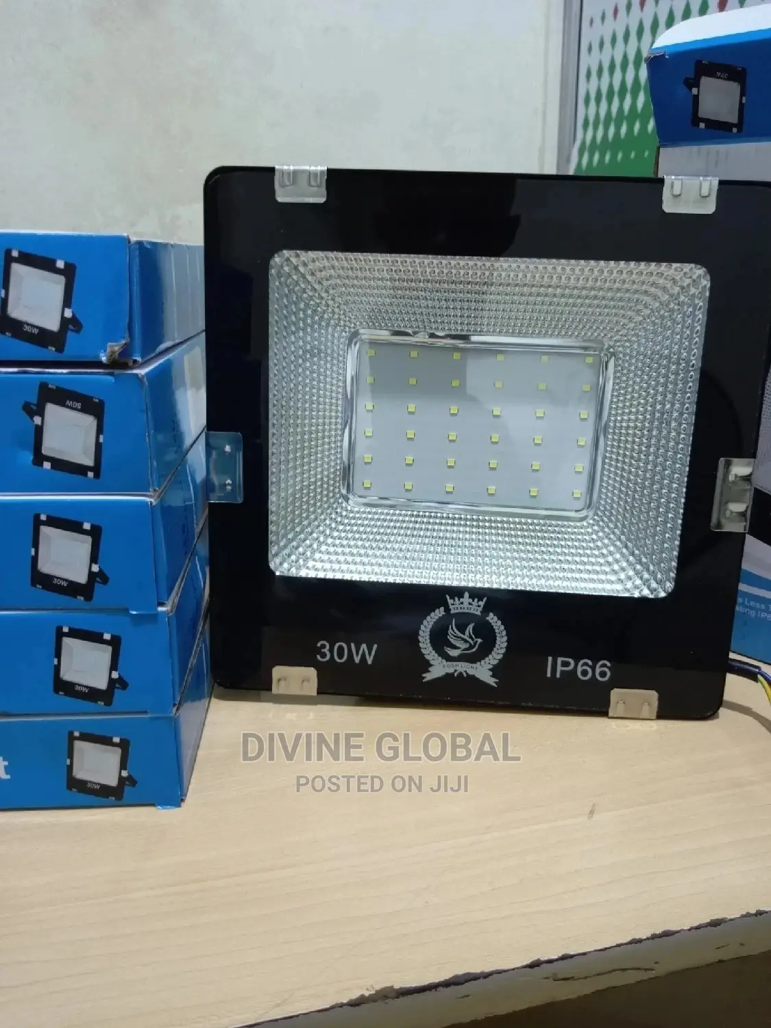 HD 30W LED Flood Lights