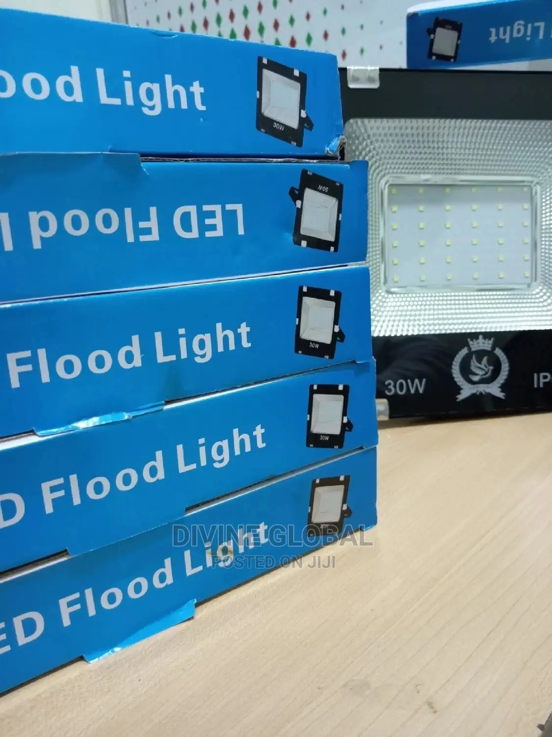 HD 30W LED Flood Lights