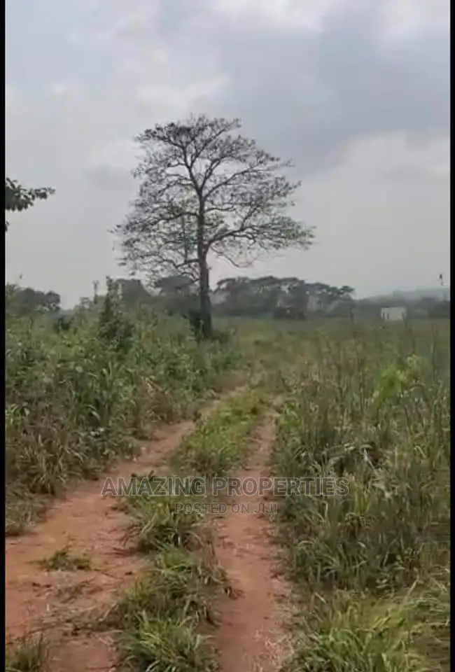 68acres Industrial Land for Sale Central University Tsopoli