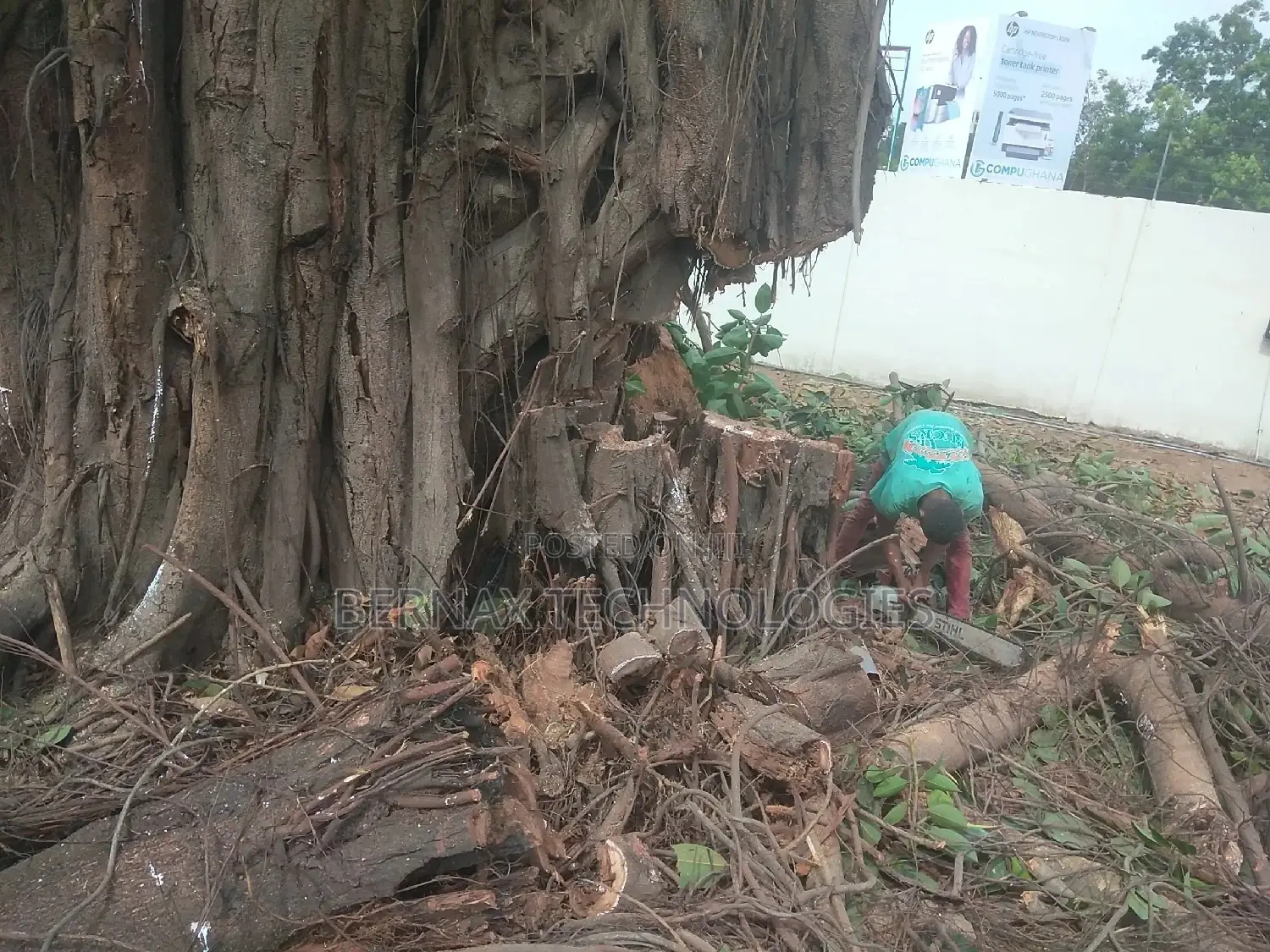 Chainsaw Operator(Tree Cutter)