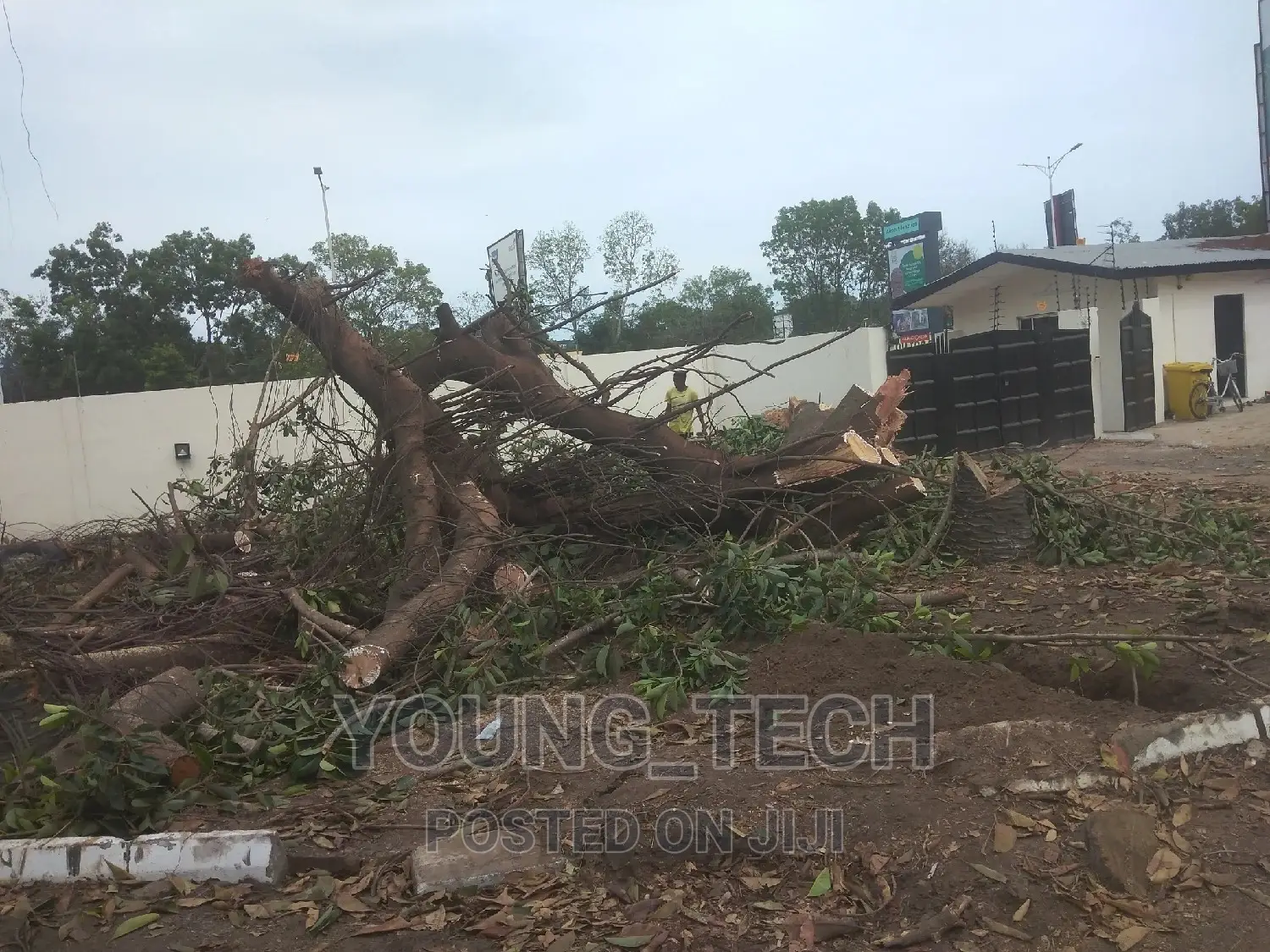 Chainsaw Operator(Tree Cutter)