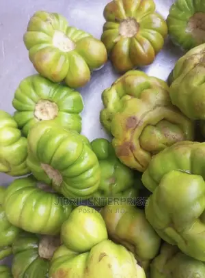 Bitter Tomato (Solanum Aethiopicum