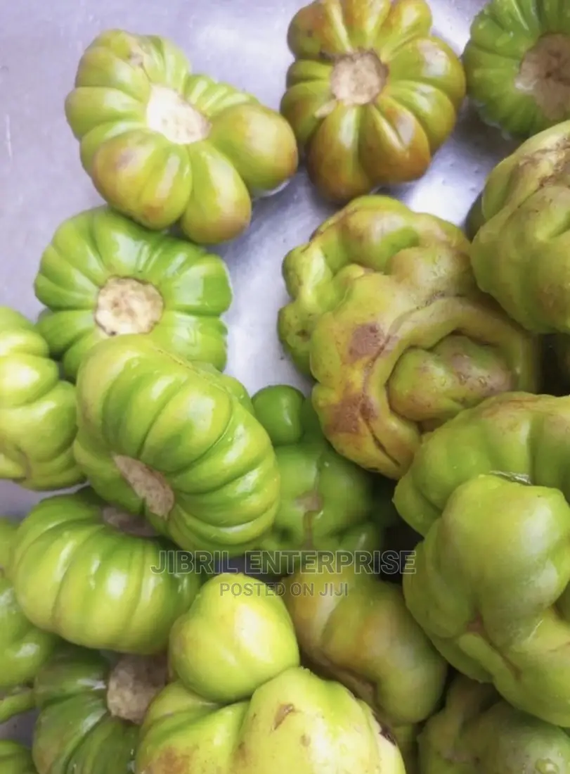 Bitter Tomato (Solanum Aethiopicum