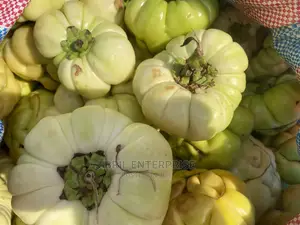 Bitter Tomato (Solanum Aethiopicum